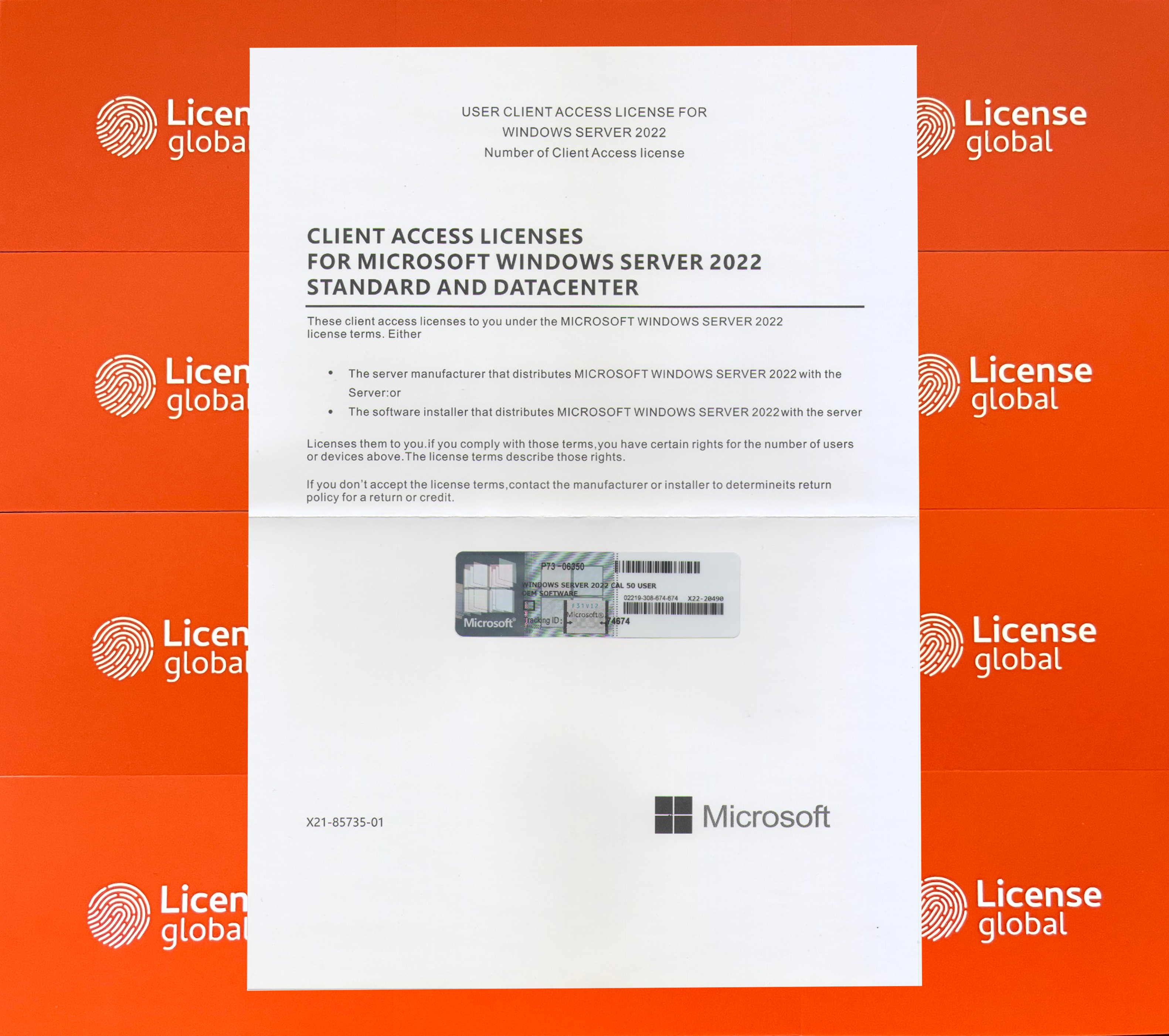 Windows Server 2022 50 User CAL